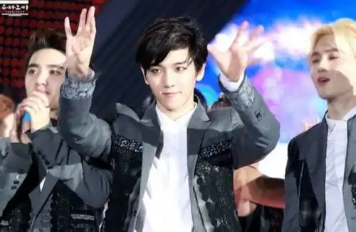 韩国2014梦想演唱会花絮exo少女时代同台竞技全场中毒
