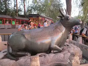 颐和园铜牛图片北京周边游