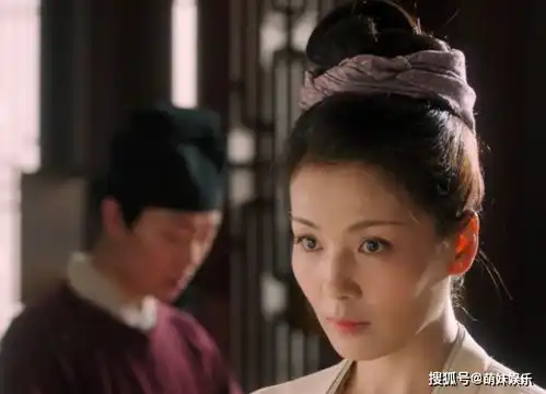 刘涛周渝民主演,半个娱乐圈都来宣传的大宋宫词,就这
