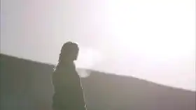 格乃20210110,蓝色妖姬
