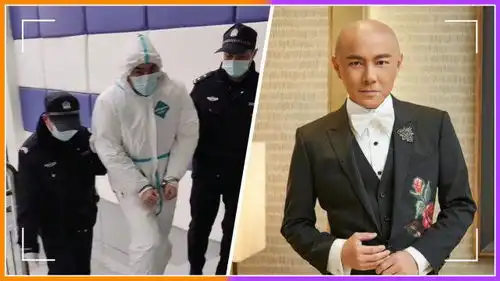 歌手因电信诈骗被捕,帮犯罪分子转移800万资金,多位男星遭怀疑
