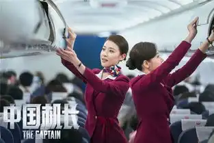 中国机长获角色原型集体力挺英雄机长刘传健现身安利希望大家都来看