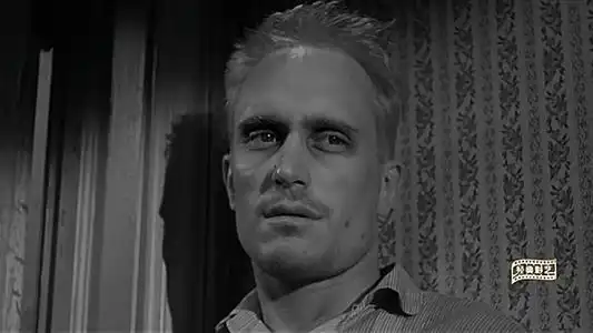 杀死一只知更鸟大多数知更鸟都逃不脱被杀的命运
