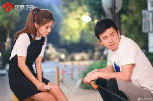 我不是精英将播雷佳音邓家佳成欢喜冤家