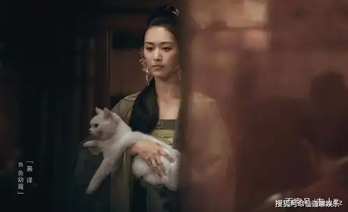 雪中悍刀行女角色的剧照跟原片差距有多大集体换了张脸