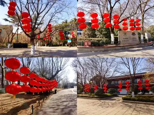 大红灯笼高高挂,古贝春意闹泉城