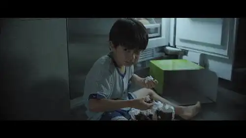 只要半夜开灯,蟑螂就会全部躲起来
