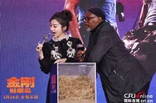 金刚骷髅岛主演来华抖森现场读诗景甜带头尬舞
