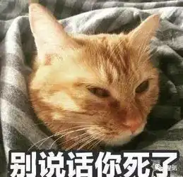 热巴穿成这样还被当男人,男主你是不是瞎
