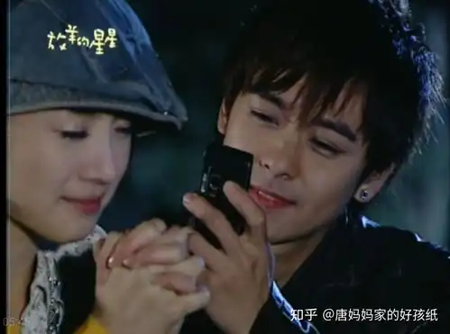 如何评价电视剧放羊的星星
