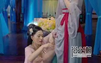 太子妃升职记小说结局原文介绍张芃芃留在古代齐晟成太后男宠
