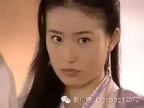 肥罗细评金庸武侠小说人物之杨不悔