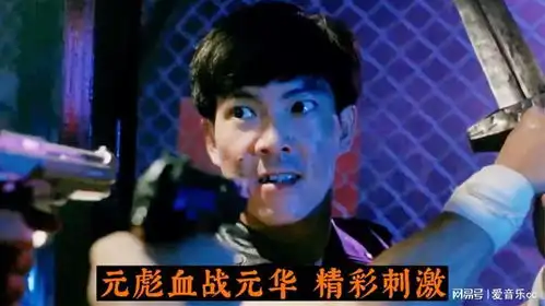 电影这才叫经典功夫动作猛片,元彪血战元华,场面精彩刺激
