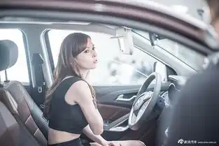 泷泽萝拉当车模销魂依旧
