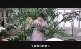 窈窕淑女截图