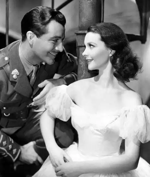 费雯丽和泰勒一个清雅如百合,一个娇艳似玫瑰,谁更有魅力