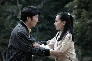 太入戏董洁演赵薇小三被骂