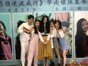 改编悲伤逆流成河落落从未想去郭敬明标签化