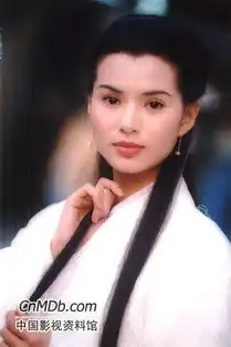 神雕侠侣角色海报
