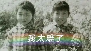 越剧高清版电影梁山伯与祝英台
