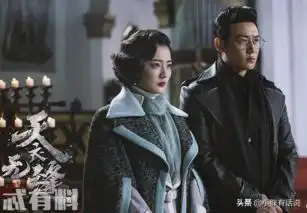 天衣无缝寇荣的接头人是资历群还给资历平投毒割腕