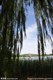 颐和园风景图片