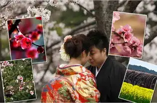 我和春天有个约会上帝的调色板美爆了
