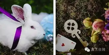 波兰夫妇举行爱丽丝梦游仙境主题婚礼,会场变疯帽子茶会
