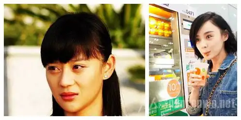 袁姗姗整容前后照片疑曝光说没整容谁信呢