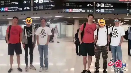 当孤注一掷照进现实丨成都武侯警方打掉一特大杀猪盘电信网络诈骗集团