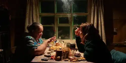 推荐这部电影的理由,并不是仅仅因为它拿了2021戛纳评审团大奖