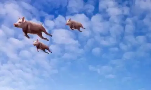 影视投资如何规避风险