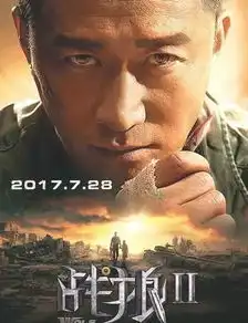 外媒评价战狼2堪比好莱坞战争大片,票房再创纪录

