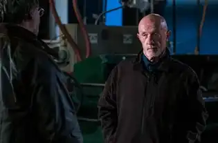 风骚律师荆途ign9.1分交代绝命毒师结局
