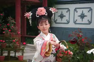 李晟新还珠格格
