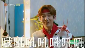 如何评价白敬亭在电视剧夏至未至中的表现