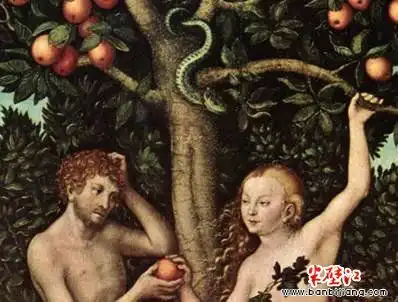 要么学会,要么被迫学会你的团队需要一个会讲故事的人出版
