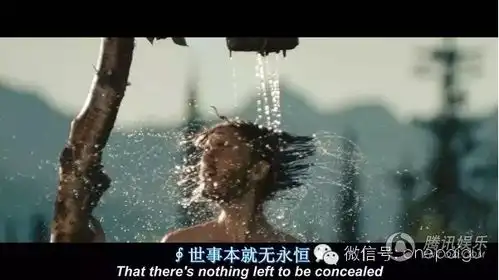 不能错过的荒野生存抛弃一切走向荒野
