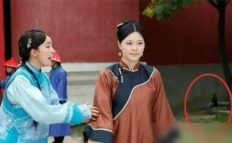 穿帮镜头刘谦表演魔术穿帮了,大爷笑的后槽牙都出来了
