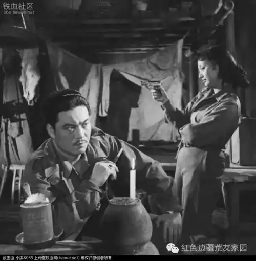 王晓棠从电影里走出来的女将军
