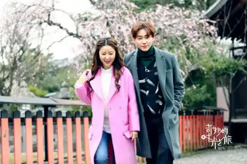 林心如我一定是个不婚族林心如爆不婚原因
