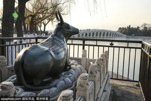 颐和园铜牛