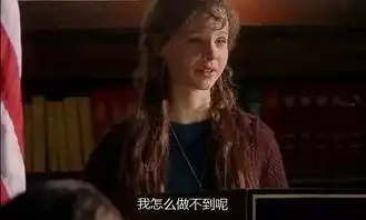 电影推荐风雨哈佛路