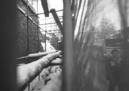 初雪后颐和园光绪时期老墙坍塌6米无人员伤亡