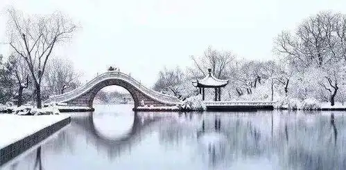 落雪时,给你一个美上热搜的紫禁城