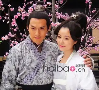 古装男神花颜厮杀新天龙八部钟汉良新射雕英雄传陈晓步步惊心吴奇隆
