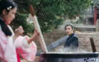 步步惊心丽剧照
