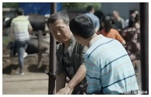 县委大院张浩从山河锦绣的乡长跌回到买牛受骗农村大叔
