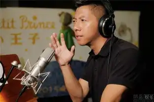 群星献声小王子