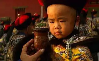 40岁老人游故宫照片挂错了专家胡说老人大怒那是我爹
